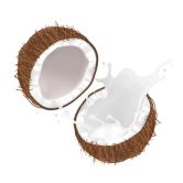 coconut